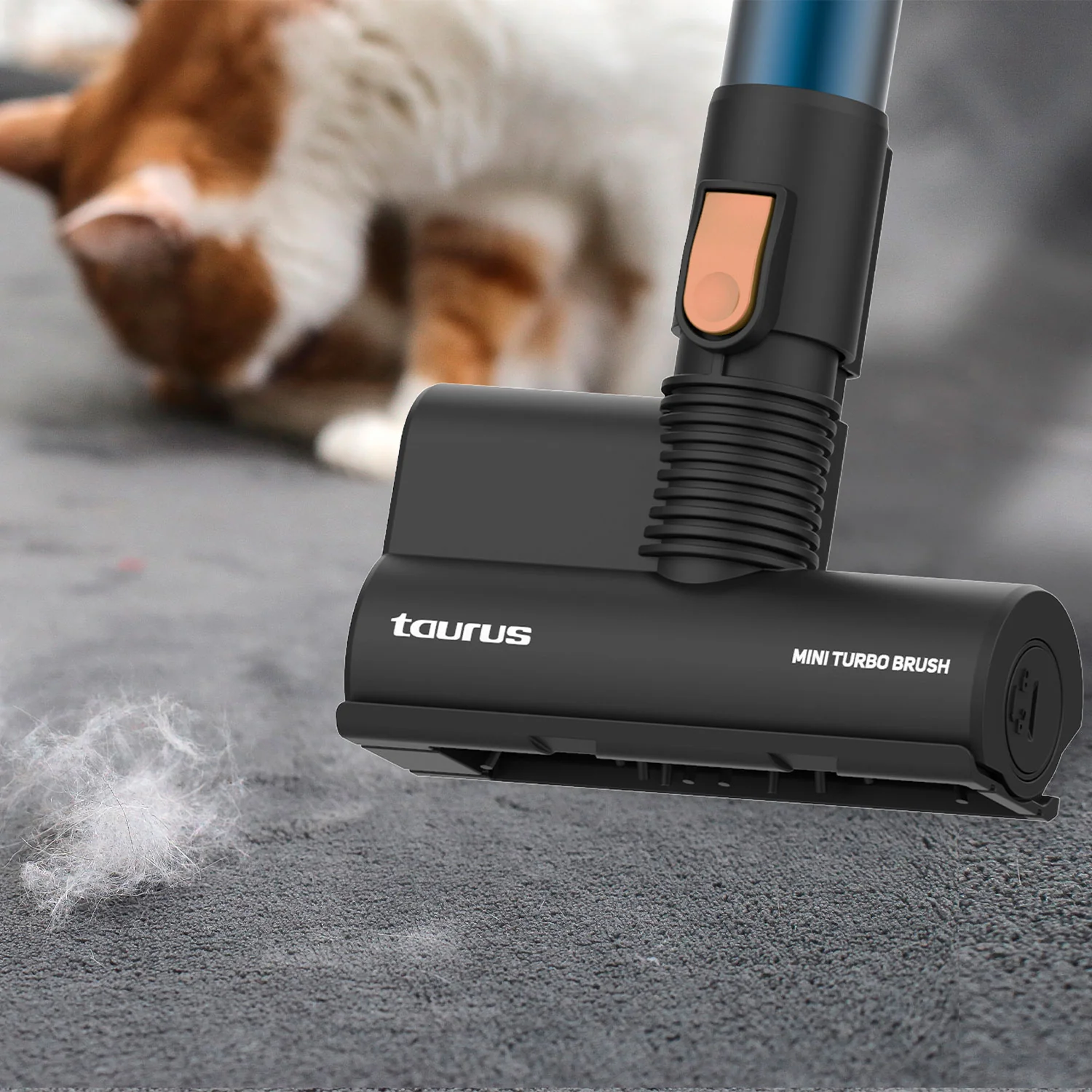 Imagen del producto 13